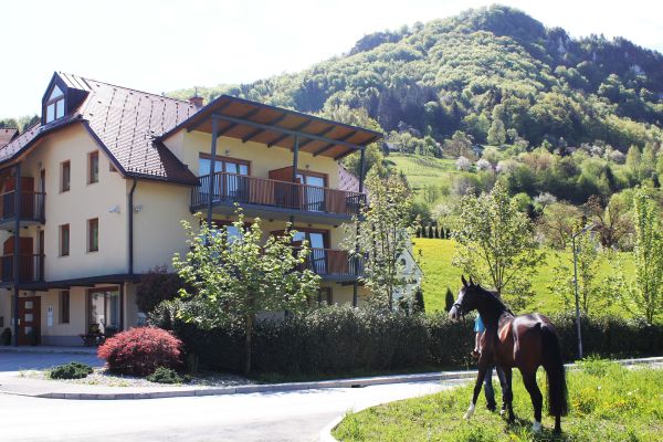 Villa Aina boutique Hotel (Lasko)
